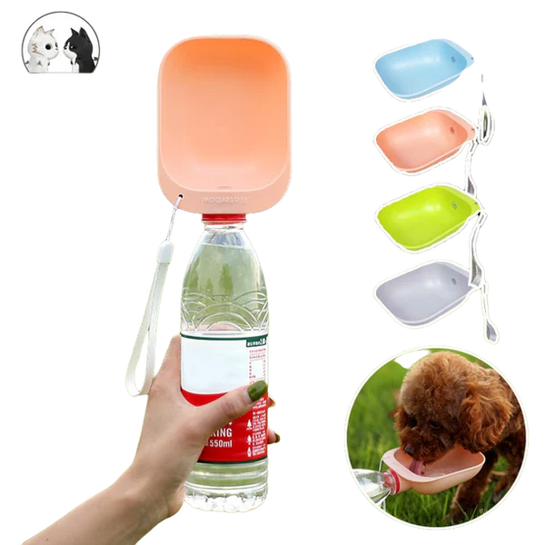 Outdoor Bowl Bottle