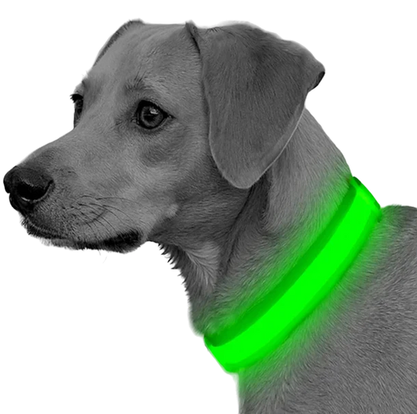 Reflective Collar