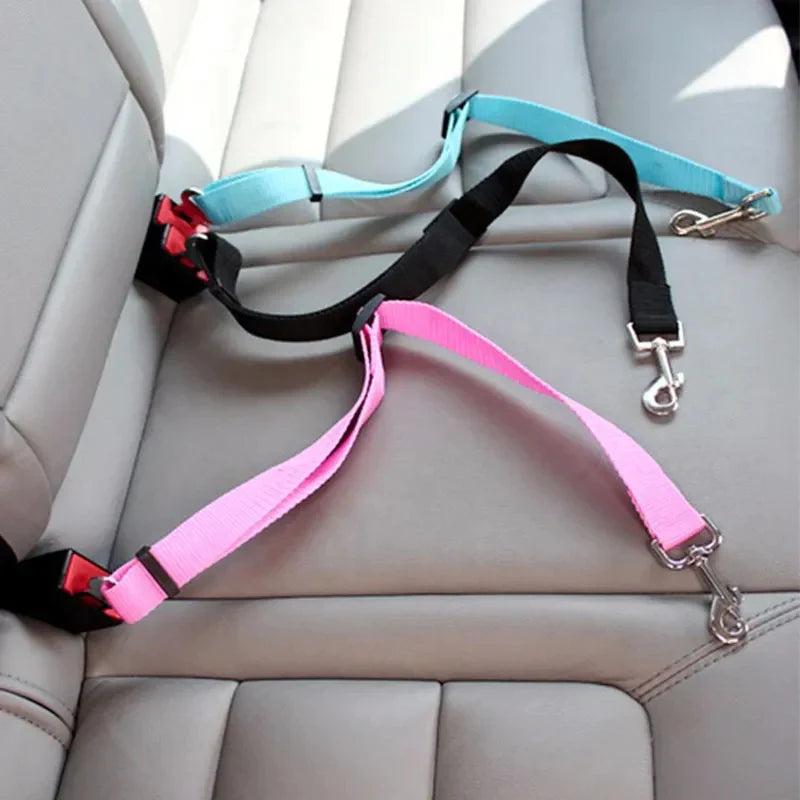 Car Leash 4